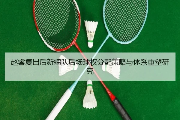 赵睿复出后新疆队后场球权分配策略与体系重塑研究